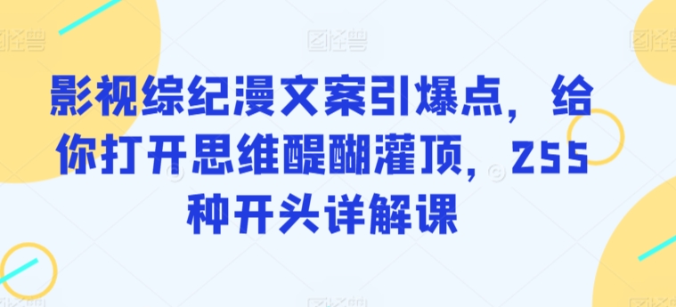 影视综纪漫文案引爆点，给你打开思维醍醐灌顶，255种开头详解课-小鸿资源库