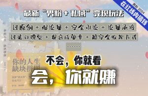 2024，“男粉+私域”还是最耐造、最赚、最轻松、最愉快的变现方式【揭秘】-小鸿资源库