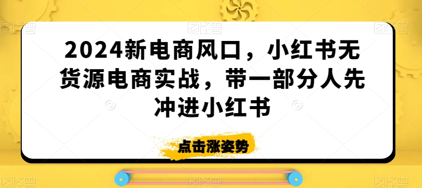 2024新电商风口,小红书无货源电商实战,带一部分人先冲进小红书-小鸿资源库
