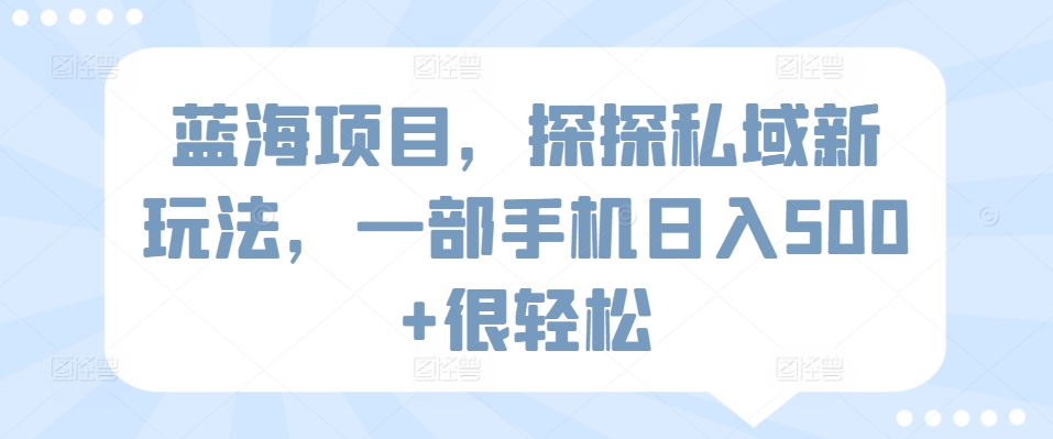 蓝海项目，探探私域新玩法，一部手机日入500+很轻松【揭秘】-小鸿资源库