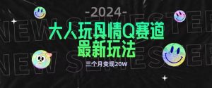 全新大人玩具情Q赛道合规新玩法，公转私域不封号流量多渠道变现，三个月变现20W【揭秘】-小鸿资源库