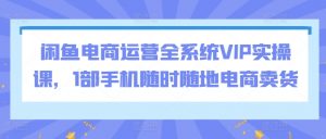 闲鱼电商运营全系统VIP实操课，1部手机随时随地电商卖货-小鸿资源库