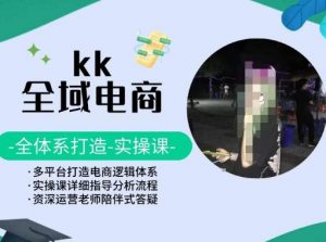 KK全域电商，全体系打造实操课，多平台打造电商逻辑体系-小鸿资源库