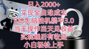 日入2000+，实现全自动成交，B站无脑挂机躺平3.0，当天操作当天见收益，实现睡后有收益【揭秘】-小鸿资源库