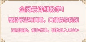 全网最详细教学,视频号蓝海赛道,口播情感视频,无需露脸,制作简单,轻松实现日入1000+【揭秘】-小鸿资源库