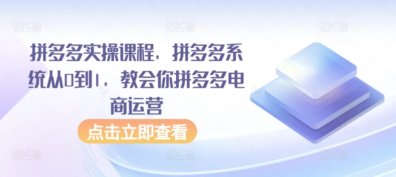 拼多多实操课程,拼多多系统从0到1,教会你拼多多电商运营-小鸿资源库