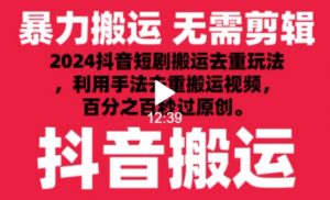 2024最新抖音搬运技术，抖音短剧视频去重，手法搬运，利用工具去重，达到秒过原创的效果【揭秘】-小鸿资源库