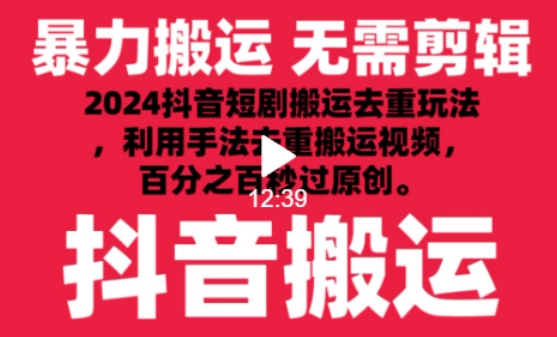 2024最新抖音搬运技术，抖音短剧视频去重，手法搬运，利用工具去重，达到秒过原创的效果【揭秘】-小鸿资源库