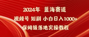 2024年视频号短剧新玩法小白日入1000+保姆级落地实操教程【揭秘】-小鸿资源库