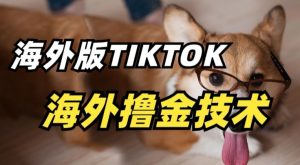 抖音海外版tiktok撸金技术,这个风口行业,赚钱真的不难【揭秘】-小鸿资源库