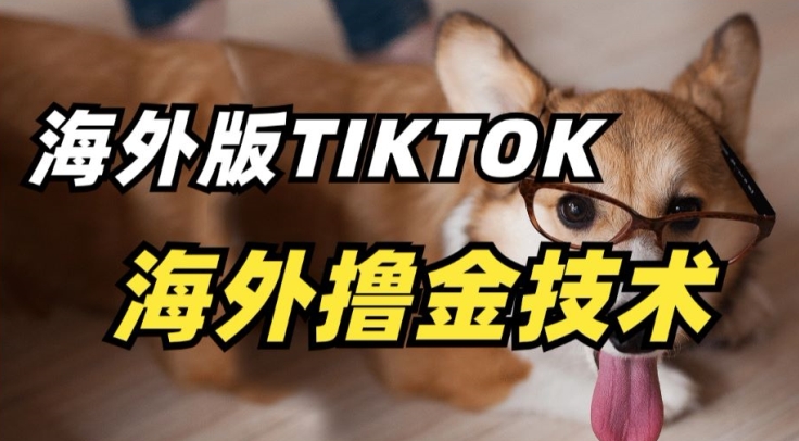 抖音海外版tiktok撸金技术，这个风口行业，赚钱真的不难【揭秘】-小鸿资源库