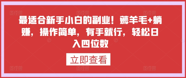 最适合新手小白的副业!薅羊毛+躺赚,操作简单,有手就行,轻松日入四位数【揭秘】-小鸿资源库