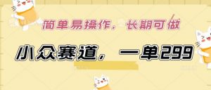 小众赛道，一单299.简单易操作，长期可做【揭秘】-小鸿资源库