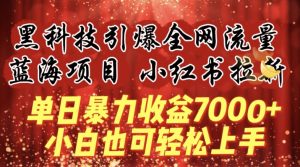 蓝海项目!黑科技引爆全网流量小红书拉新，单日暴力收益7000+，小白也能轻松上手【揭秘】-小鸿资源库
