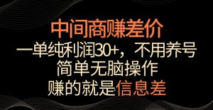 中间商赚差价,一单纯利润30+,简单无脑操作,赚的就是信息差,轻轻松松日入1000+【揭秘】-小鸿资源库