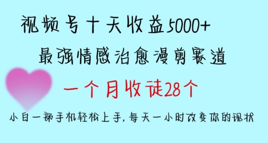 十天收益5000+，多平台捞金，视频号情感治愈漫剪，一个月收徒28个，小白一部手机轻松上手【揭秘】-小鸿资源库