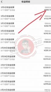 【蓝海项目】视频号创作分成计划，24年最新热门玩法，单天收益破8000+！【揭秘】-小鸿资源库