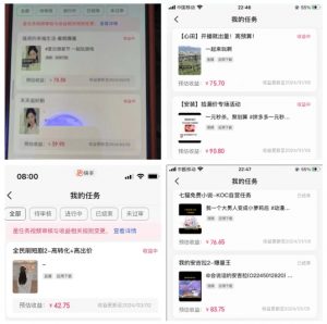 2024年3月最新，快手磁力聚星全流程实操教学，8台手机日均收益稳定100~200元【揭秘】-小鸿资源库