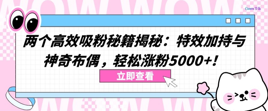 两个高效吸粉秘籍揭秘：特效加持与神奇布偶，轻松涨粉5000+【揭秘】-小鸿资源库