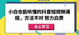 小白也能听懂的抖音短视频课程，方法不对 努力白费-小鸿资源库