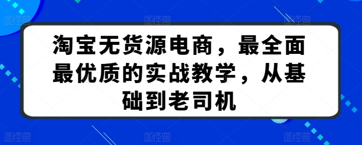淘宝无货源电商，最全面最优质的实战教学，从基础到老司机-小鸿资源库