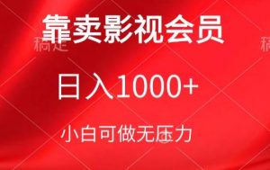 靠卖影视会员，日入1000+，落地保姆级教程，新手可学【揭秘】-小鸿资源库