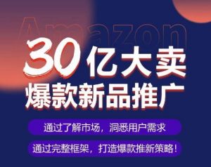 亚马逊·30亿大卖爆款新品推广,可复制、全程案例实操的爆款推新SOP-小鸿资源库