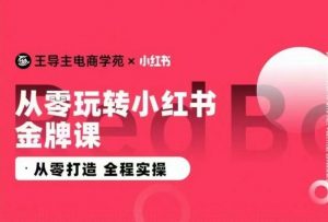 王导主·小红书电商运营实操课，​从零打造  全程实操-小鸿资源库