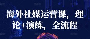 海外社媒运营课,理论+演练,全流程-小鸿资源库