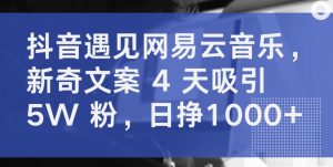 抖音遇见网易云音乐，新奇文案 4 天吸引 5W 粉，日挣1000+【揭秘】-小鸿资源库
