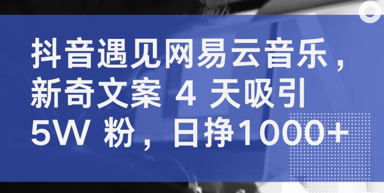 抖音遇见网易云音乐，新奇文案 4 天吸引 5W 粉，日挣1000+【揭秘】-小鸿资源库