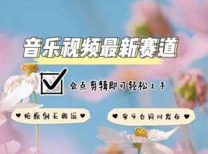 音乐视频赛道最新玩法，纯原创不违规，可所有平台同时发布，会点剪辑即可轻松拿捏【揭秘】-小鸿资源库