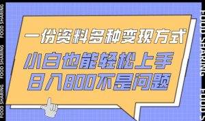 一份资料多种变现方式，小白也能轻松上手，日入800不是问题【揭秘】-小鸿资源库