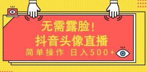 无需露脸,Ai头像直播项目,简单操作日入500+【揭秘】-小鸿资源库