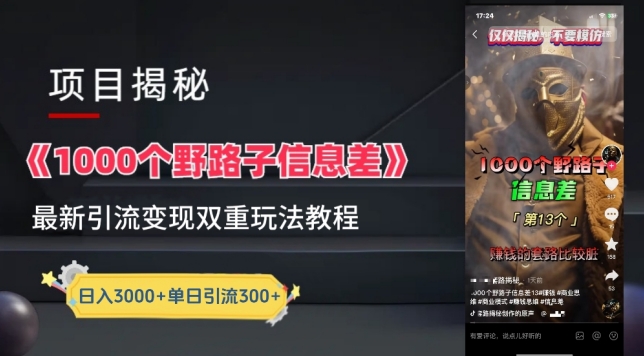 一千个野路子信息差最新玩法教程-变现+引流的玩法具体拆解【揭秘】-小鸿资源库