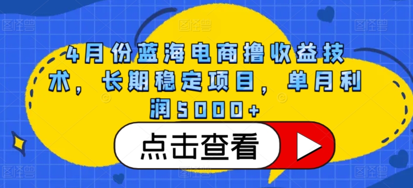 4月份蓝海电商撸收益技术，长期稳定项目，单月利润5000+【揭秘】-小鸿资源库