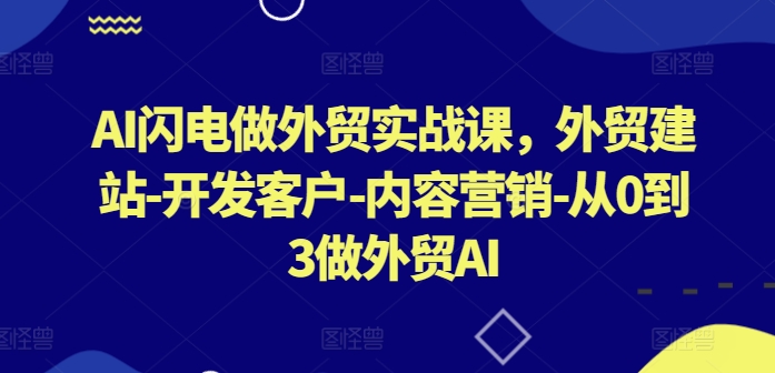 AI闪电做外贸实战课,外贸建站-开发客户-内容营销-从0到3做外贸AI-小鸿资源库