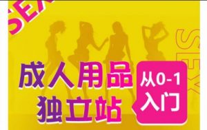 成人用品独立站从0-1入门,成品独立站运营全流程教学,七大好卖成品独立站推荐-小鸿资源库