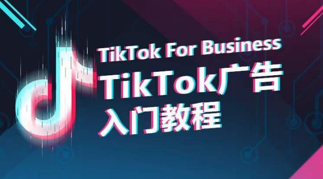 TikTok广告入门教程，从0到1掌握TikTok投放的全流程-小鸿资源库