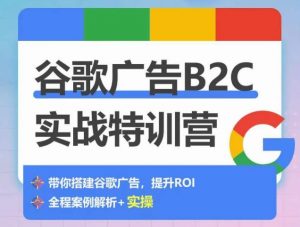 谷歌广告B2C实战特训营，500+谷歌账户总结经验，实战演示如何从0-1搭建广告账户-小鸿资源库