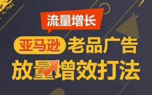 流量增长 亚马逊老品广告放量增效打法，短期内广告销量翻倍-小鸿资源库