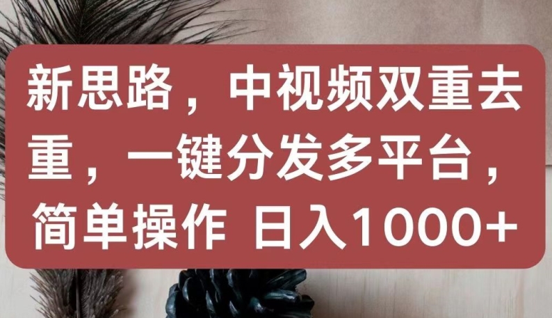 新思路，中视频双重去重，一键分发多平台，简单操作，日入1000+【揭秘】-小鸿资源库