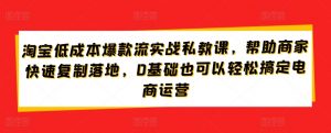 淘宝低成本爆款流实战私教课，帮助商家快速复制落地，0基础也可以轻松搞定电商运营-小鸿资源库
