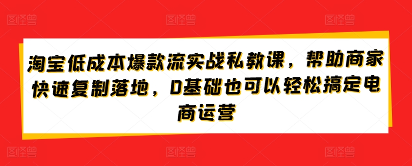 淘宝低成本爆款流实战私教课，帮助商家快速复制落地，0基础也可以轻松搞定电商运营-小鸿资源库