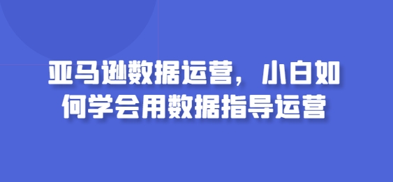 亚马逊数据运营，小白如何学会用数据指导运营-小鸿资源库