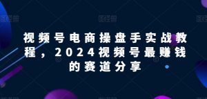 视频号电商实战教程，2024视频号最赚钱的赛道分享-小鸿资源库