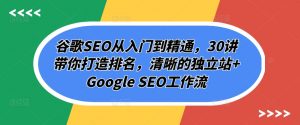 谷歌SEO从入门到精通，30讲带你打造排名，清晰的独立站+Google SEO工作流-小鸿资源库