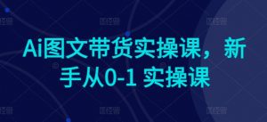 Ai图文带货实操课，新手从0-1 实操课-小鸿资源库