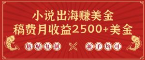 小说出海赚美金，稿费月收益2500+美金，仅需chatgpt粘贴复制，新手也能玩转【揭秘】-小鸿资源库