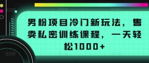 男粉项目冷门新玩法，售卖私密训练课程，一天轻松1000+【揭秘】-小鸿资源库